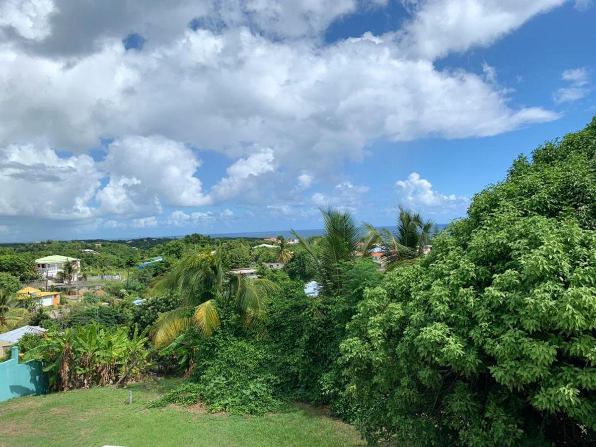 Vila Maison Cosy A Le Gosier Avec Vue Exteriér fotografie